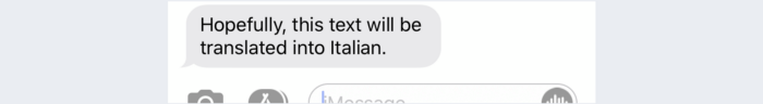 Translation source image
